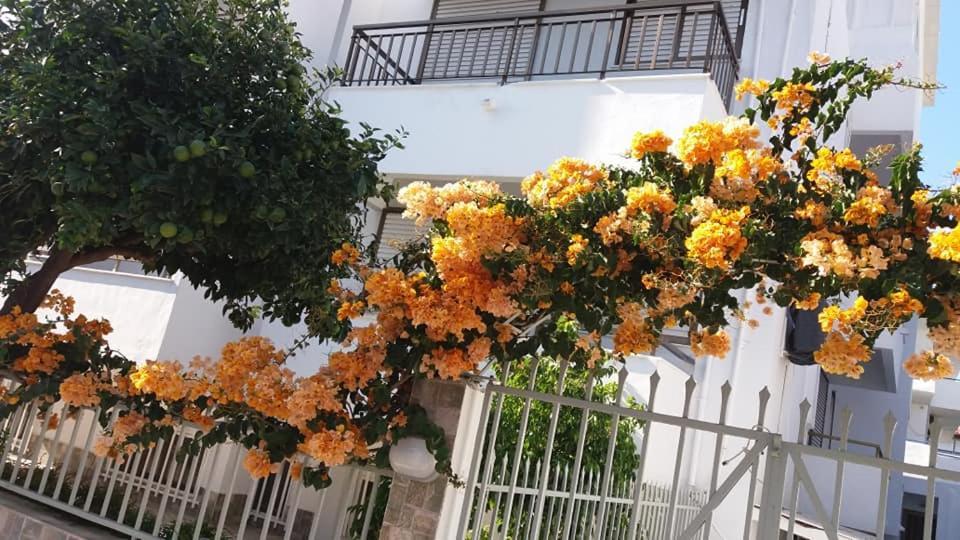 Kardamena Holiday Apartments ภายนอก รูปภาพ