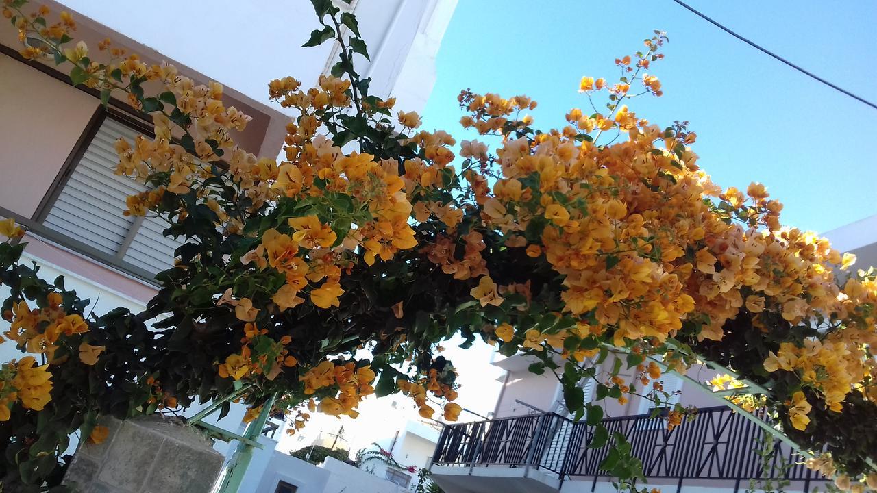 Kardamena Holiday Apartments ภายนอก รูปภาพ
